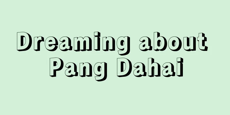 Dreaming about Pang Dahai