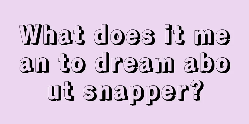 What does it mean to dream about snapper?