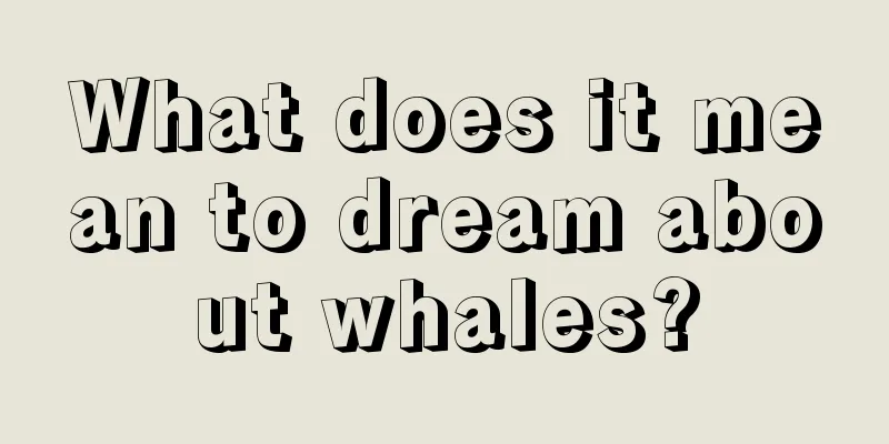 What does it mean to dream about whales?