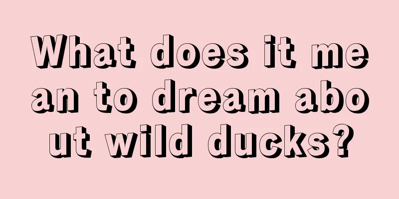 What does it mean to dream about wild ducks?