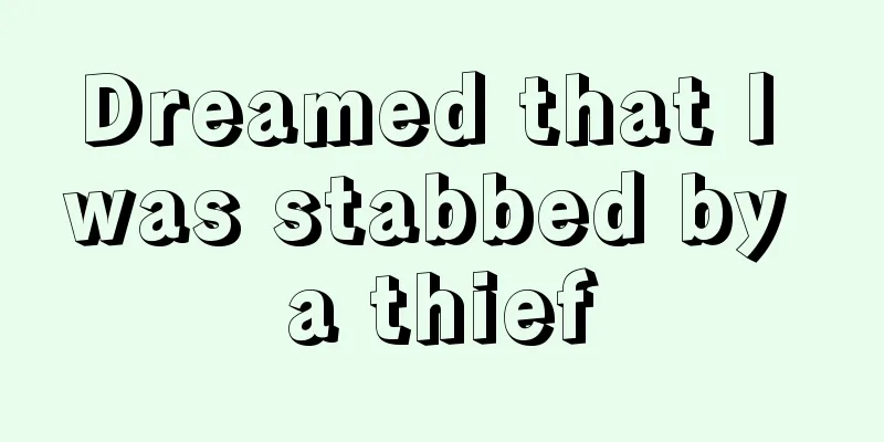 Dreamed that I was stabbed by a thief