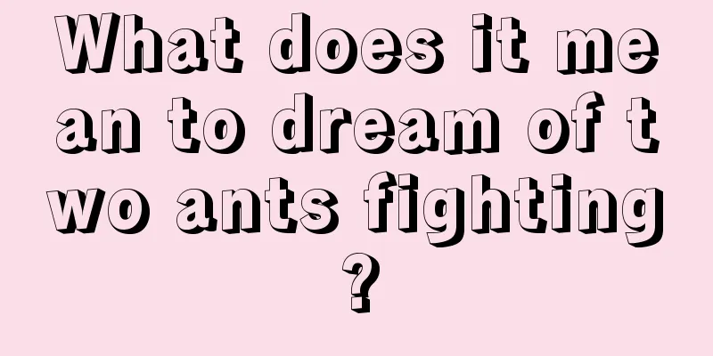 What does it mean to dream of two ants fighting?