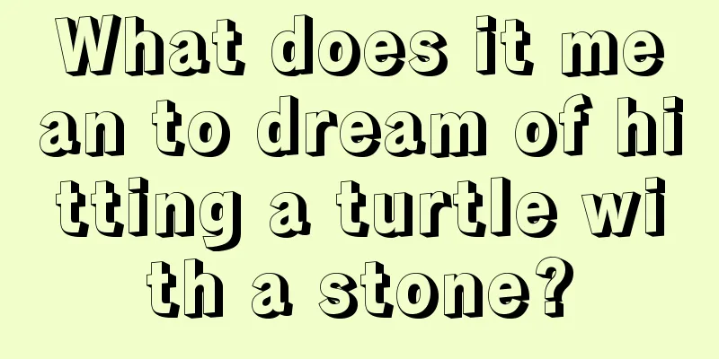 What does it mean to dream of hitting a turtle with a stone?