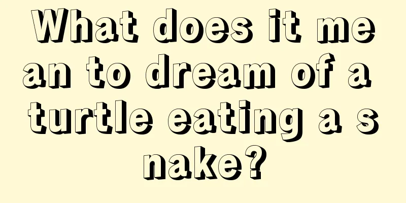 What does it mean to dream of a turtle eating a snake?