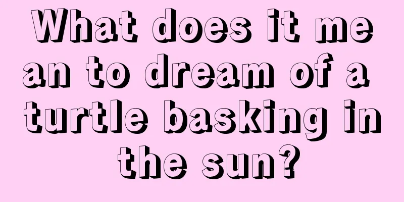 What does it mean to dream of a turtle basking in the sun?