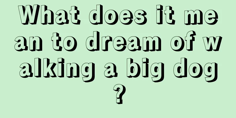 What does it mean to dream of walking a big dog?