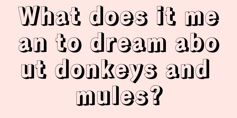 What does it mean to dream about donkeys and mules?