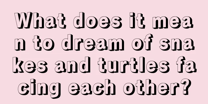 What does it mean to dream of snakes and turtles facing each other?