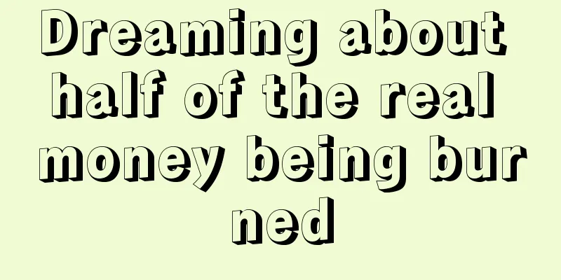 Dreaming about half of the real money being burned