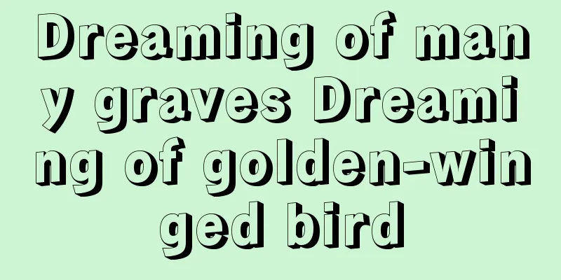 Dreaming of many graves Dreaming of golden-winged bird