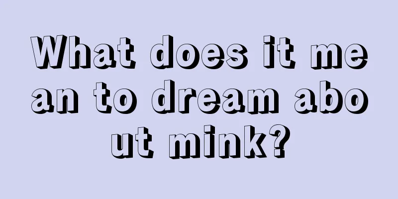 What does it mean to dream about mink?