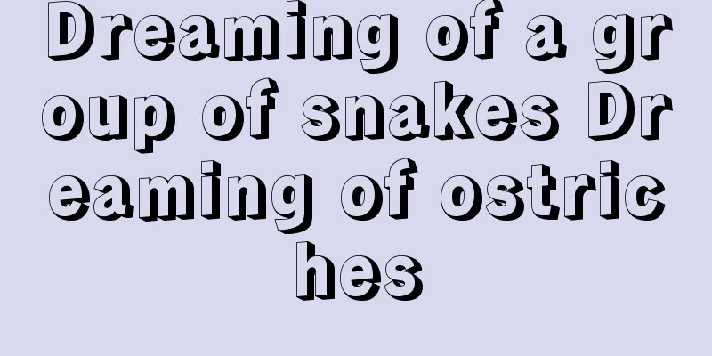 Dreaming of a group of snakes Dreaming of ostriches