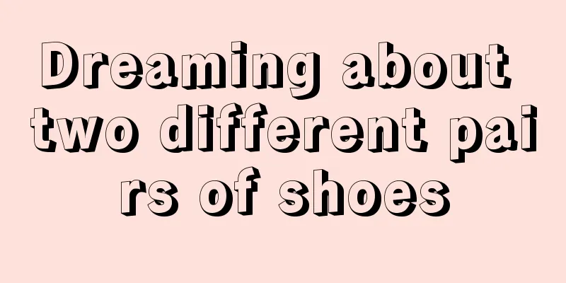 Dreaming about two different pairs of shoes