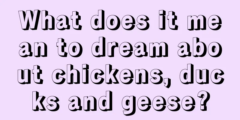 What does it mean to dream about chickens, ducks and geese?