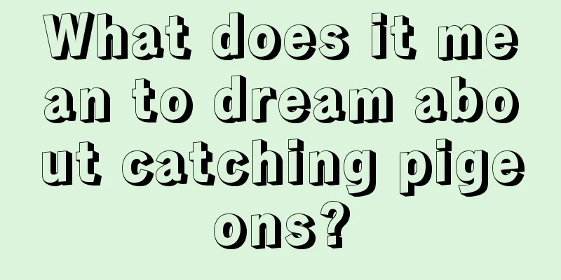 What does it mean to dream about catching pigeons?