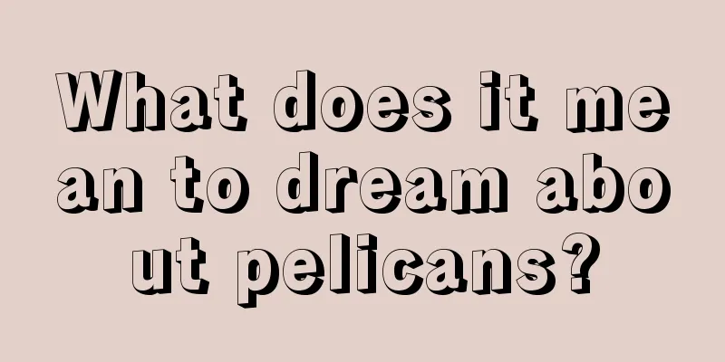 What does it mean to dream about pelicans?