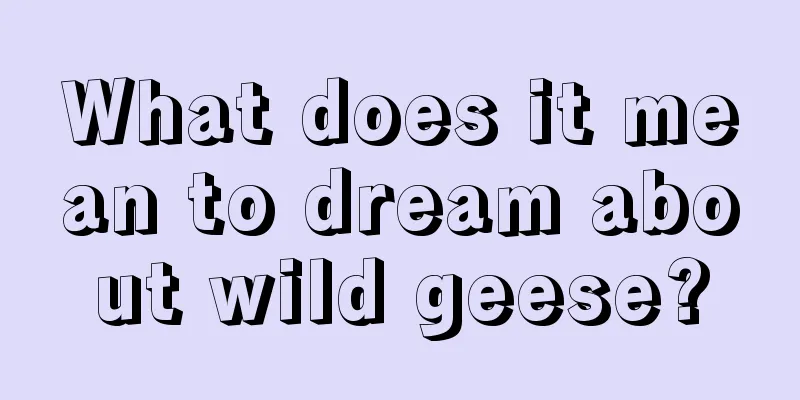 What does it mean to dream about wild geese?