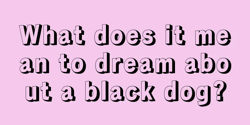 What does it mean to dream about a black dog?