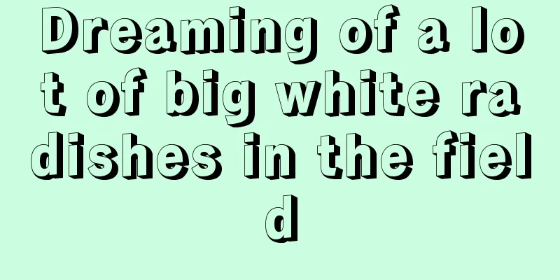 Dreaming of a lot of big white radishes in the field