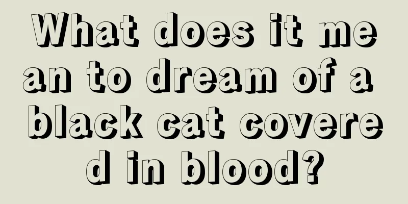 What does it mean to dream of a black cat covered in blood?