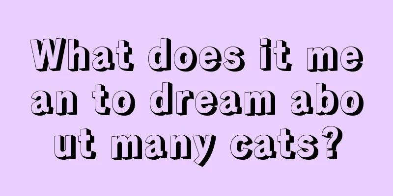 What does it mean to dream about many cats?