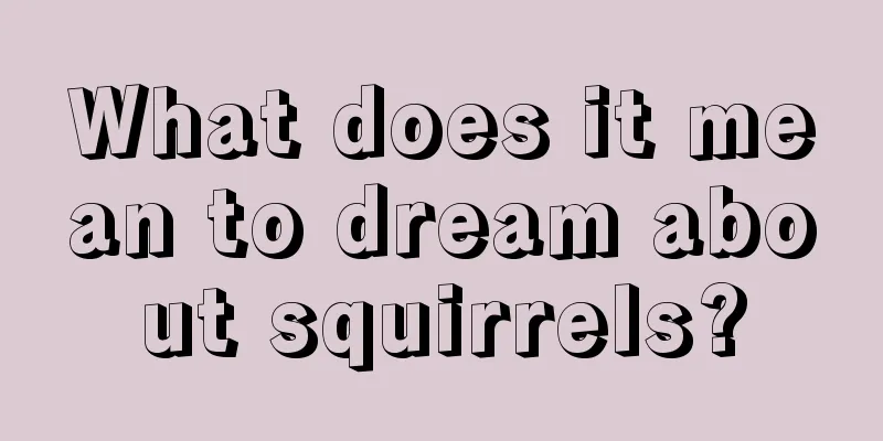 What does it mean to dream about squirrels?