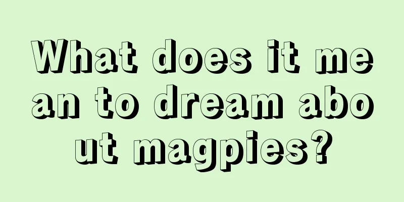 What does it mean to dream about magpies?