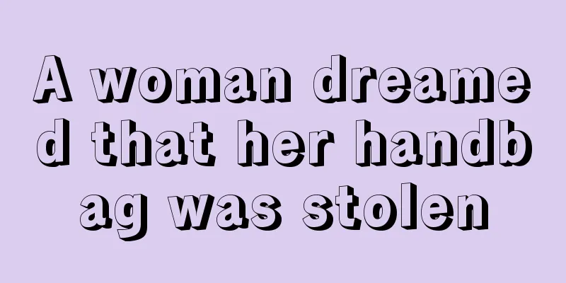 A woman dreamed that her handbag was stolen