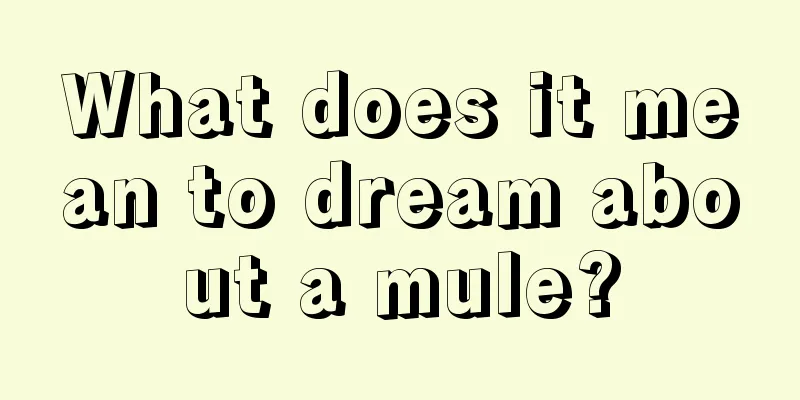 What does it mean to dream about a mule?