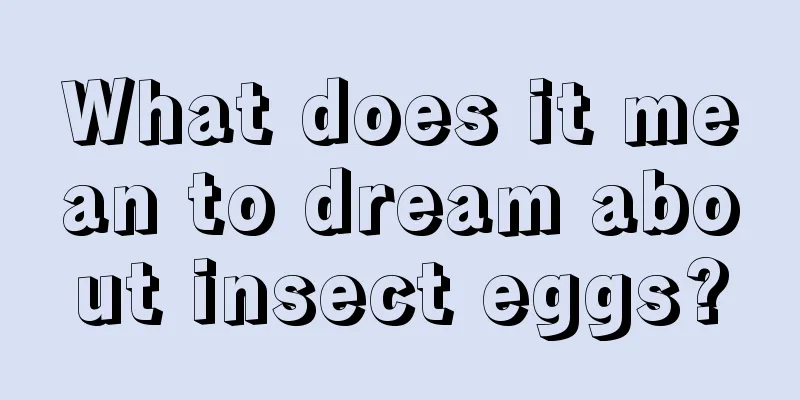 What does it mean to dream about insect eggs?