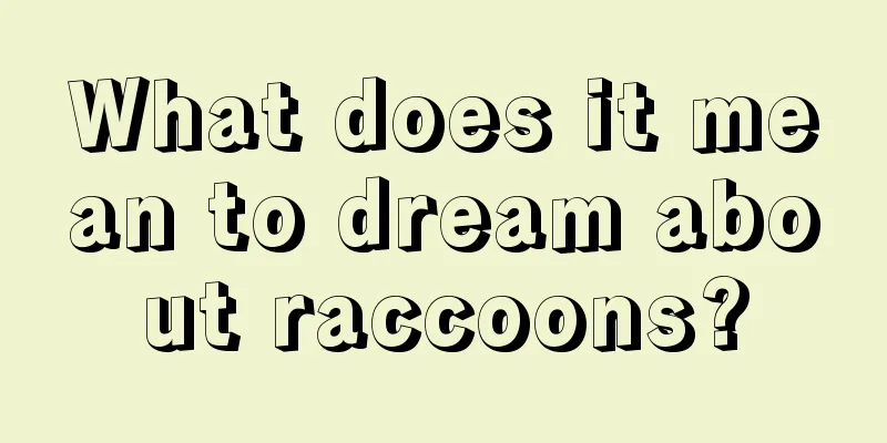 What does it mean to dream about raccoons?