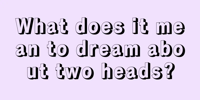 What does it mean to dream about two heads?