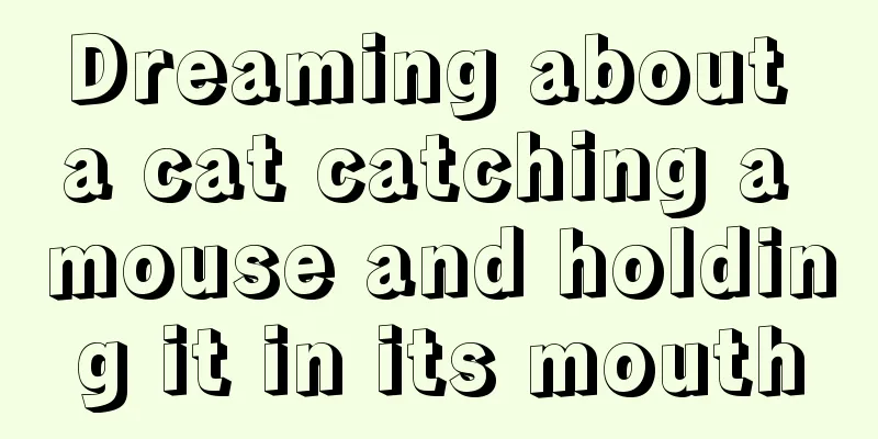 Dreaming about a cat catching a mouse and holding it in its mouth