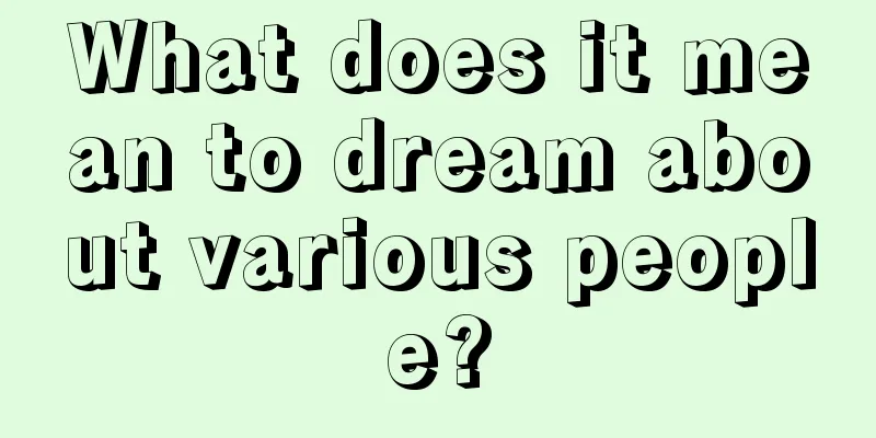 What does it mean to dream about various people?