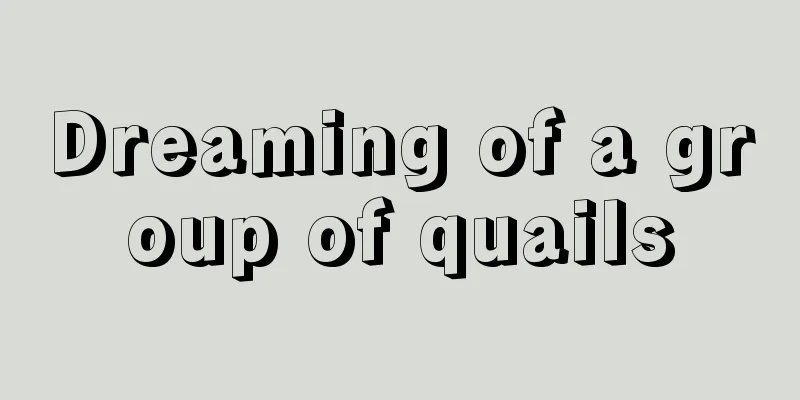 Dreaming of a group of quails