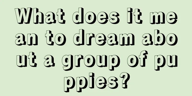 What does it mean to dream about a group of puppies?