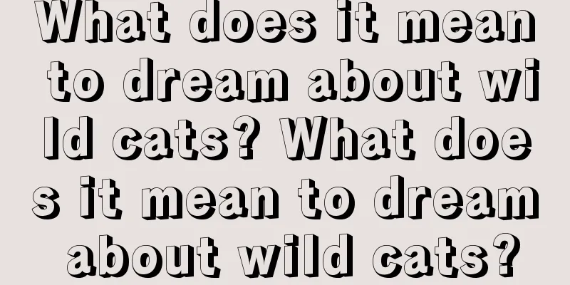 What does it mean to dream about wild cats? What does it mean to dream about wild cats?