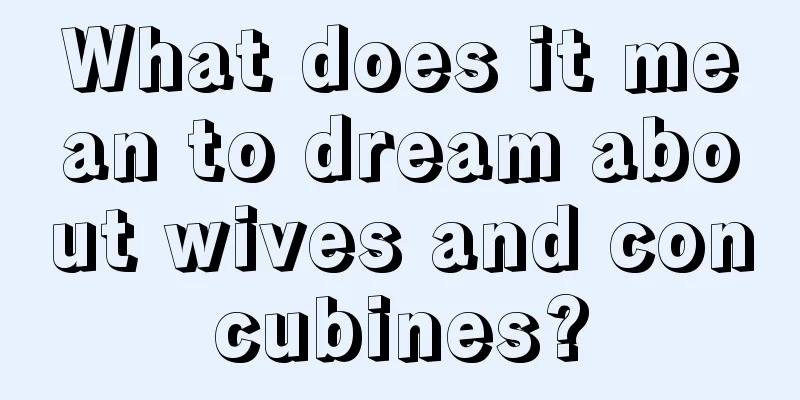 What does it mean to dream about wives and concubines?