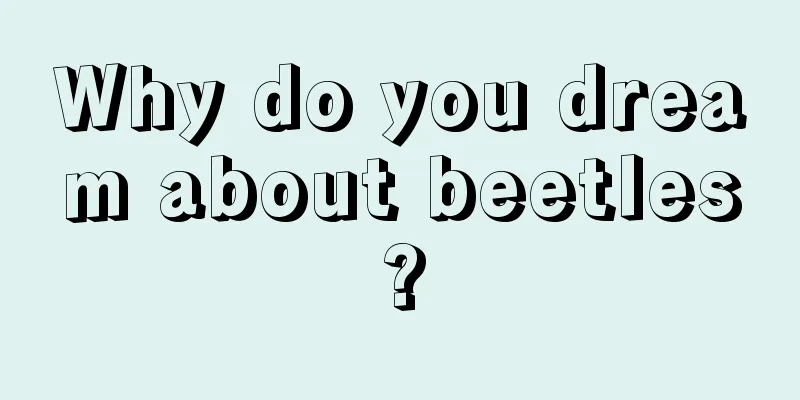 Why do you dream about beetles?