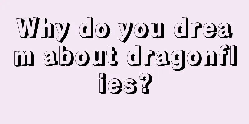 Why do you dream about dragonflies?