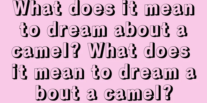 What does it mean to dream about a camel? What does it mean to dream about a camel?