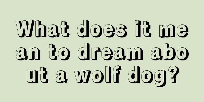 What does it mean to dream about a wolf dog?