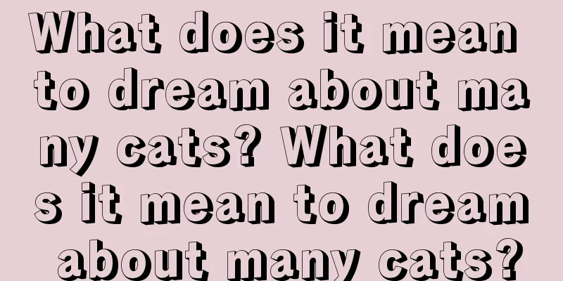 What does it mean to dream about many cats? What does it mean to dream about many cats?