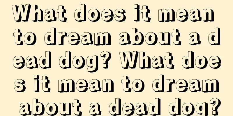 What does it mean to dream about a dead dog? What does it mean to dream about a dead dog?