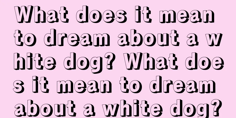 What does it mean to dream about a white dog? What does it mean to dream about a white dog?