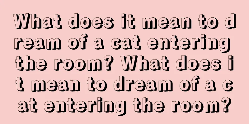 What does it mean to dream of a cat entering the room? What does it mean to dream of a cat entering the room?