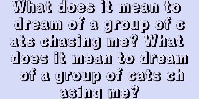 What does it mean to dream of a group of cats chasing me? What does it mean to dream of a group of cats chasing me?