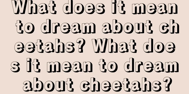 What does it mean to dream about cheetahs? What does it mean to dream about cheetahs?