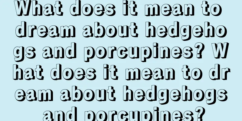 What does it mean to dream about hedgehogs and porcupines? What does it mean to dream about hedgehogs and porcupines?