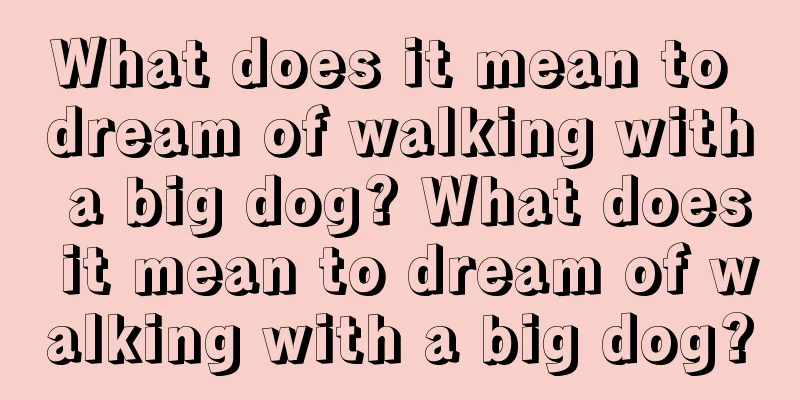 What does it mean to dream of walking with a big dog? What does it mean to dream of walking with a big dog?